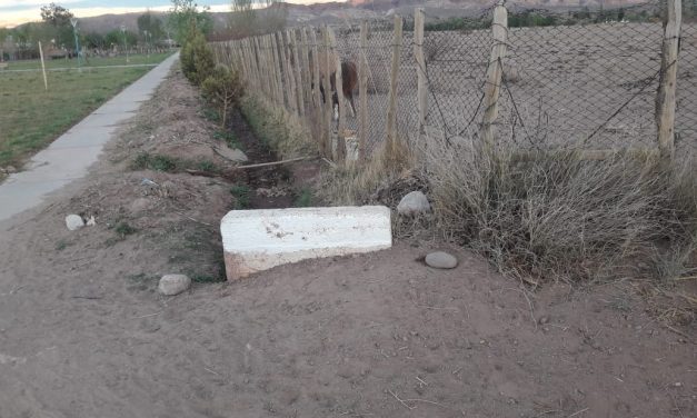 Jueza de Calingasta obliga a borrar pintadas políticas