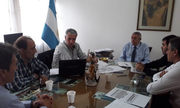 SE INFORMA EL MODO DE CONSULTAR EL ESCRUTINIO PROVISORIO DE LAS P.A.S.O.