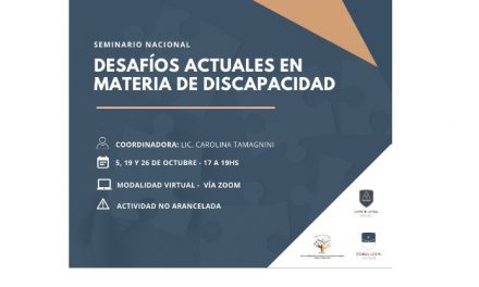 Desafíos actuales en materia de discapacidad