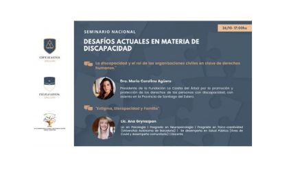 Seminario Discapacidad: desafíos actuales