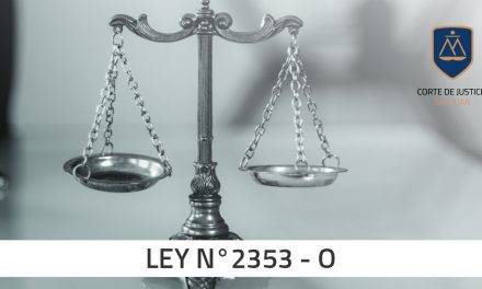 Para abogados y abogadas: la Ley de Recurso Extraordinario rige desde el 2 de mayo