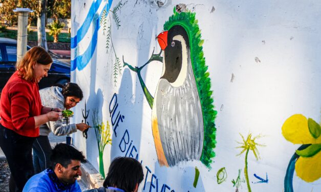 CAMPAÑA DE CONCIENTIZACIÓN SOBRE AVES