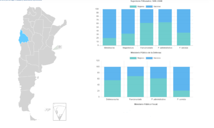 MAPA DE GÉNERO 2025 DEL PODER JUDICIAL DE SAN JUAN Y DE LA NACIÓN